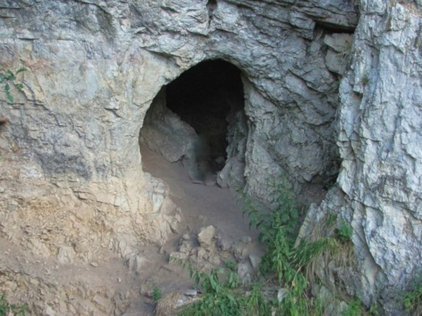На Алтае в Денисовой пещере найдено древнейшее изображение животного. археология, пещера, изображение, животное
