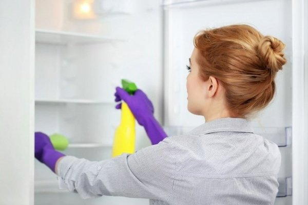 Как правильно разморозить и почистить холодильник?. 15096.jpeg