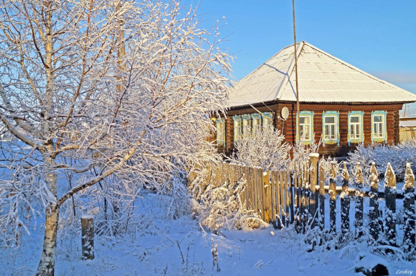 Деревня Перхово замерзает из-за отсутствия электричества. 14206.jpeg