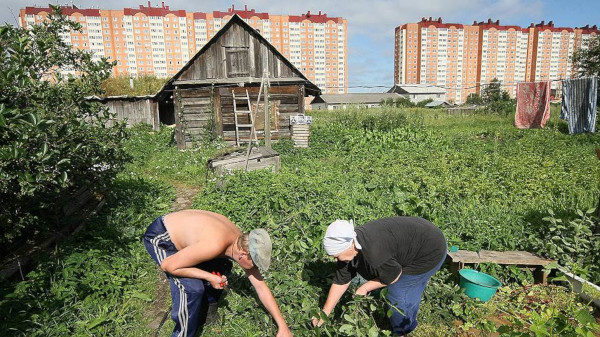 Дачникам России создадут службу одного окна. 15216.jpeg