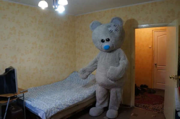 Объявление об аренде квартиры с огромным медведем напугало москвичей. 15218.jpeg