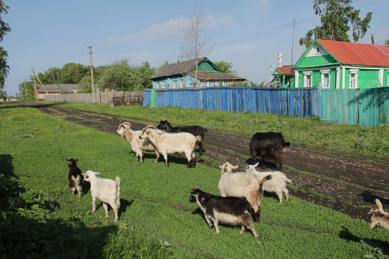 Село поднимут льготной ипотекой под 1% годовых. 15408.jpeg