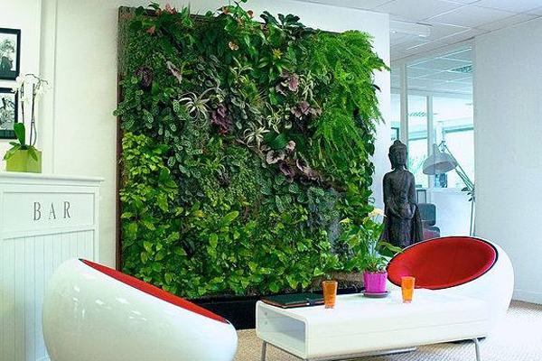 Озеленение квартиры: выбираем растение в каждую комнату. 15460.jpeg