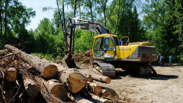 В Госдуму внесут законопроект, разрешающий капитальную застройку лесов. строительство, законодательство, природа, экология, Минприроды
