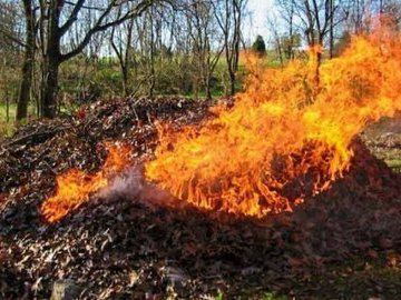 Что не стоит делать на даче во избежание проблем с законом