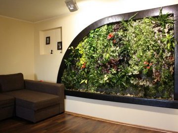 Как сделать зеленую живую стену из растений у себя дома?
